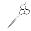 Sengo Master Slim VG10 5,5