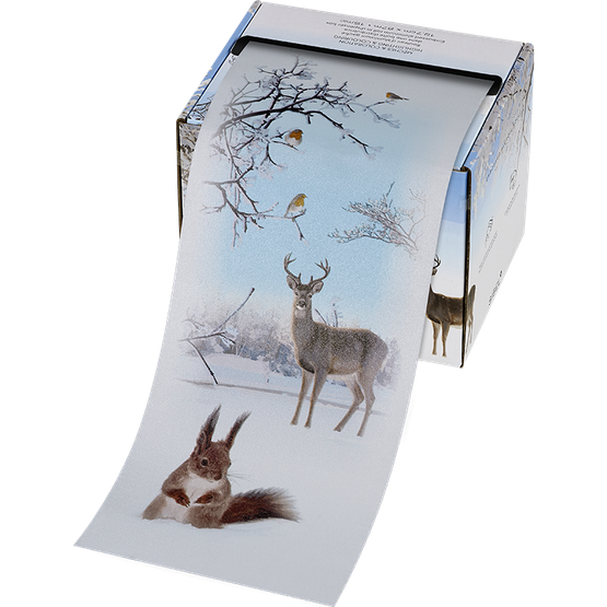 Embossed Winter Foil 12,7cmx97m 15my