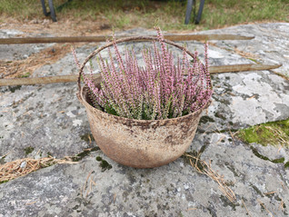 Vanha rautapata sangalla