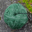 ALB Lino, Forest