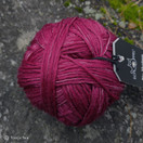 Bio Merinos, Cardinal