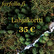 Lahjakortti 35 €