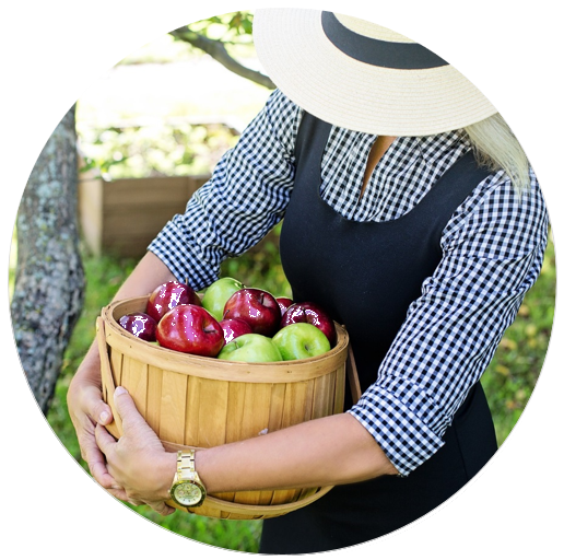 Päästöjään aktiivisesti hillitsevän vuotuinen päästöhyvitys 5,4 t CO2