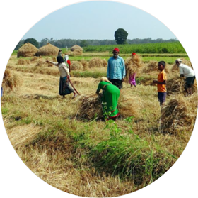 Sertifioitu bioenergiahanke