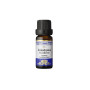 Frantsila Essential Oil - Eucalyptus