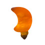 Night light orange moon