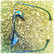 SteamPunk & Vintage style sunglasses - with Mirror Lenses