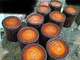 PRAEDOR 40-Years Dice cup