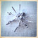 Spider brooch 