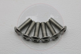 Kateruuvi RST 6kpl, M5 x 16mm kanta 10mm