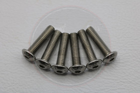 Kateruuvi RST 6kpl, M5 x 20mm kanta 10mm