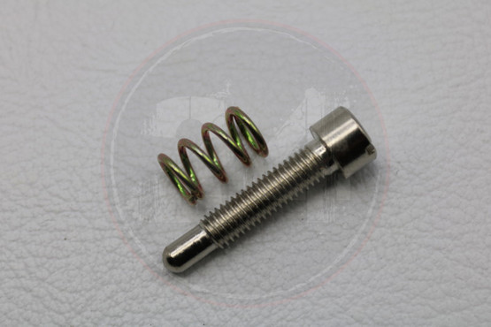 Tyhjäkäyntiruuvi + jousi, Dellorto PHBG