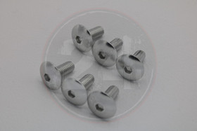 Kateruuvi hopea 6kpl, M6 x 15mm kanta 16mm