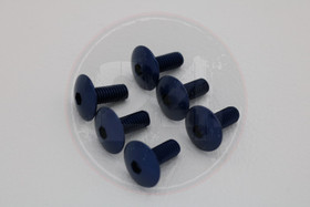 Kateruuvi sininen 6kpl, M6 x 15mm kanta 16mm