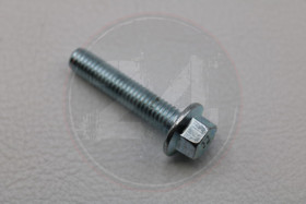 Pultti M6 x 30mm 8.8