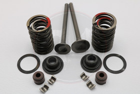 Venttiilipari + jousisarja 69mm, Kiina skootterit, Baotian, Fude, GY6 4T