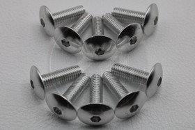 Kateruuvi hopea 10kpl, M6 x 20mm kanta 15.80mm