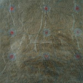 ITALIAN VARIEGATED SHADE 262 LOOSE