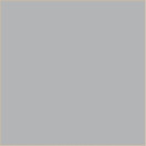 1SHOT METALLIC SILVER QUARTER PINT