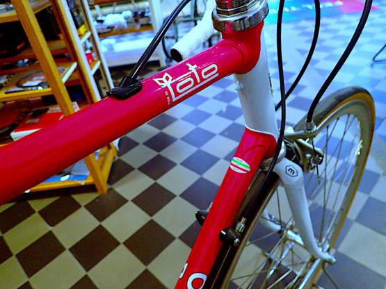 BASSO FIOR DI LOTO 1993