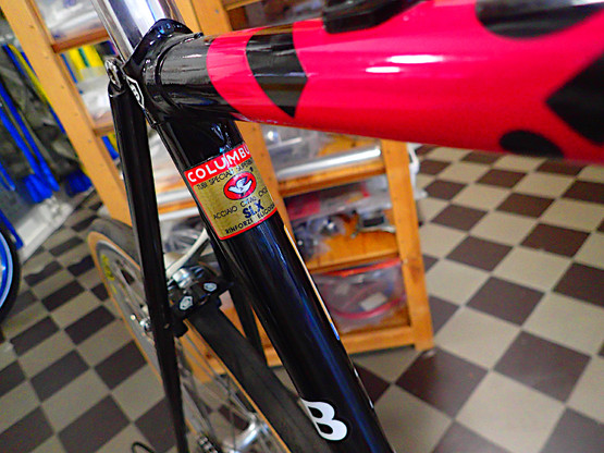 BASSO FIOR DI LOTO 1993