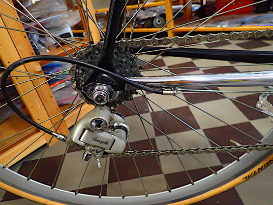 BASSO FIOR DI LOTO 1993