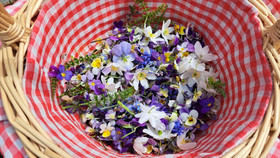 8.6.25  Itse kuivatetut kukat