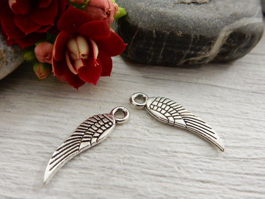 Siipiriipus, 18x5mm, kromi, 1kpl