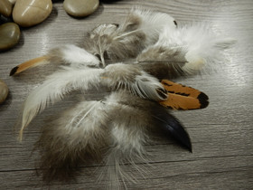 Kanan höyheniä. n.4-13cm, mixsetti, 50kpl