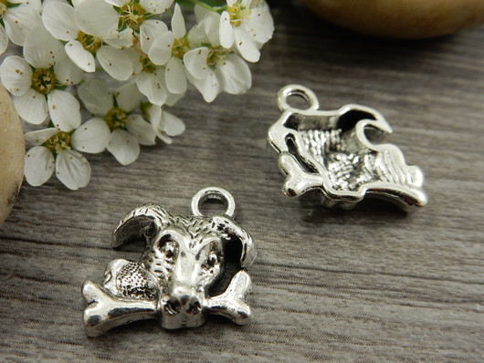 Koirariipus, 15x15mm, kromi, 1kpl