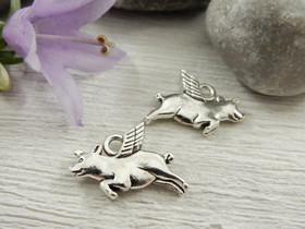 Lentäväpossuriipus, 13x19mm, kromi, 1kpl