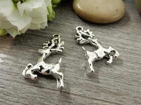 Peurariipus, 17x11mm, kromi, 1kpl