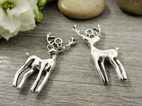 Peurariipus, 25x16mm, kromi, 1kpl