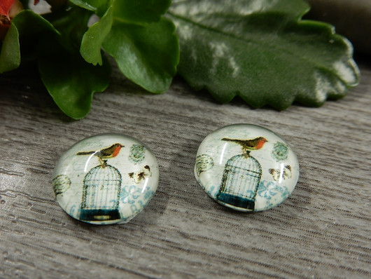 Kapussi lintu ja häkki, 12mm, moniväri, 1kpl