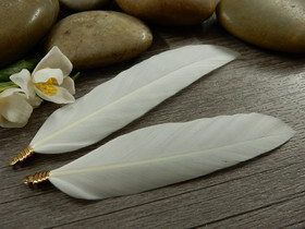 Hanhen sulka/höyhen, n.7cm, valkoinen/kulta, 1kpl