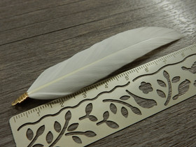 Hanhen sulka/höyhen, n.7cm, valkoinen/kulta, 1kpl