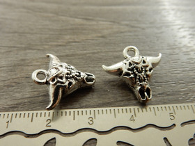 Kalloriipus, 17x16mm, kromi, 1kpl