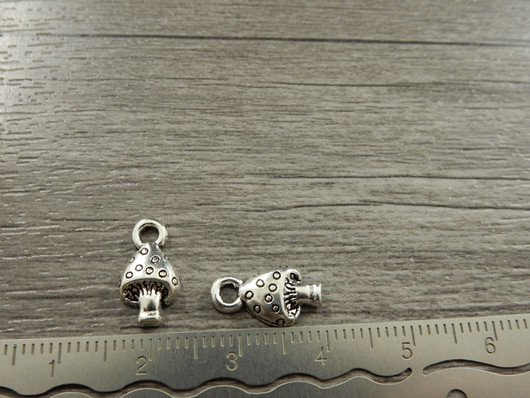 Sieniriipus, 13x8mm, kromi, 1kpl