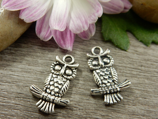 Pöllöriipus, 19x13mm, kromi, 1kpl