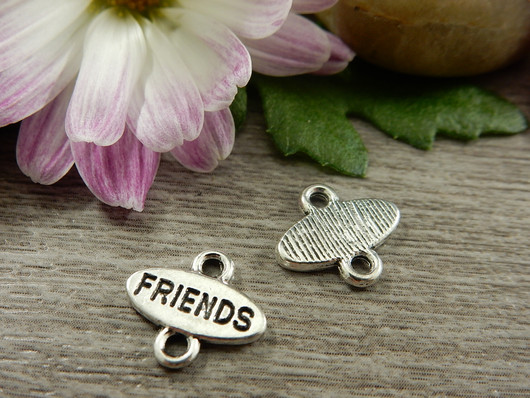 Friendsriipus/linkki, 10x21mm, kromi, 1kpl