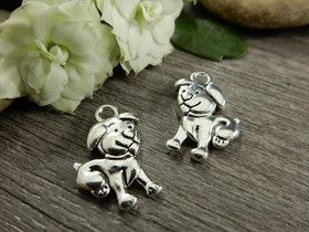 Koirariipus, 17x11mm, kromi, 1kpl