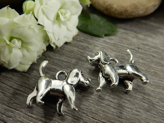 Koirariipus, 14x15mm, kromi, 1kpl