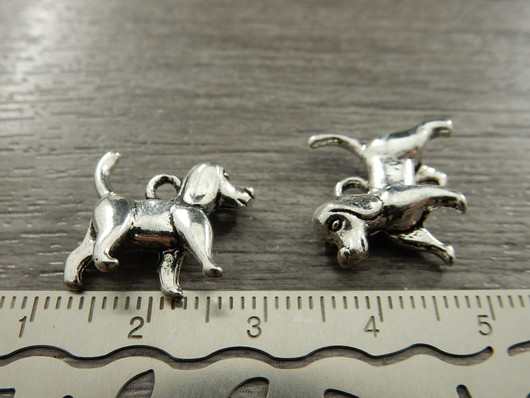 Koirariipus, 14x15mm, kromi, 1kpl