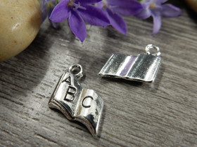 Kirjariipus, 17x11mm, kromi, 1kpl