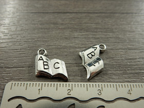 Kirjariipus, 17x11mm, kromi, 1kpl