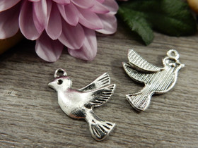 Linturiipus, 22x15mm, kromi, 1kpl