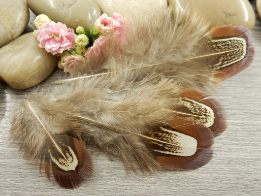 Kanan höyheniä, n.4-8cm, ruskea, 10kpl