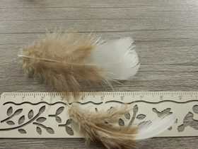 Kanan höyheniä, n.4-8cm, valko-ruskea, 10kpl