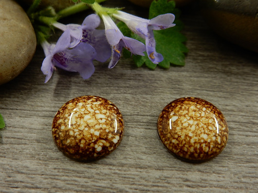 Kapussi kuvio, 14mm, ruskea, 1kpl