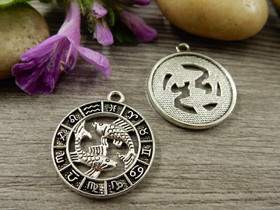 Horoskooppiriipus kalat, 24x21mm, kromi, 1kpl